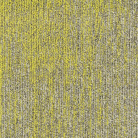 BLOQ Binary collection 125
   
  
      Flax