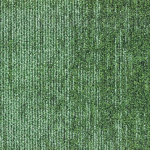 BLOQ Binary collection 617
   
  
      Moss
