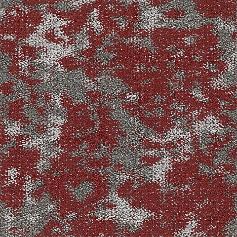 BLOQ Create Collection 306
   
  
      Scarlet