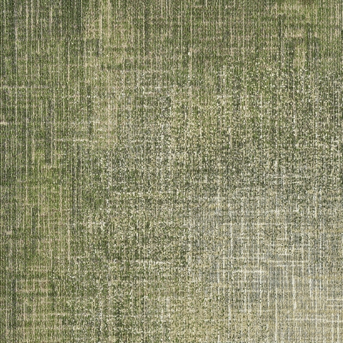 MILLIKEN Pattern Play TLC141-18 Valley/Hay