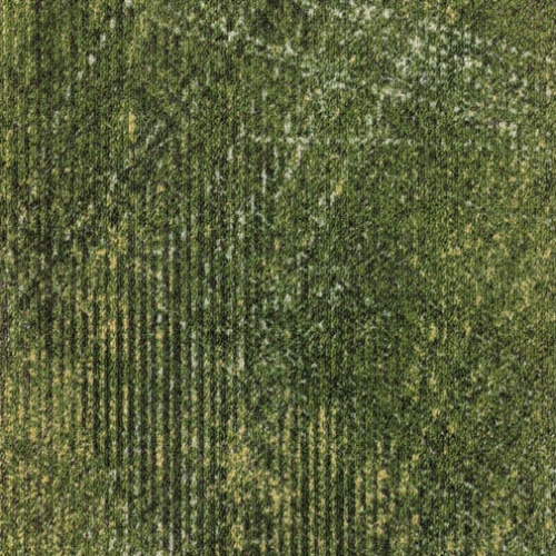 MILLIKEN Coastline LND141 Gorse