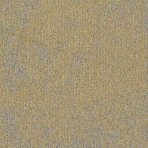 BLOQ Legend 223
   
  
      Titanium