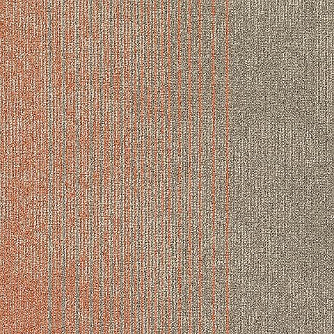 BLOQ Legend 241
   
  
      Tawny Parchment