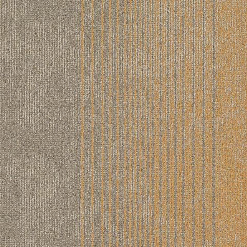 BLOQ Legend 242
   
  
      Desert Parchment