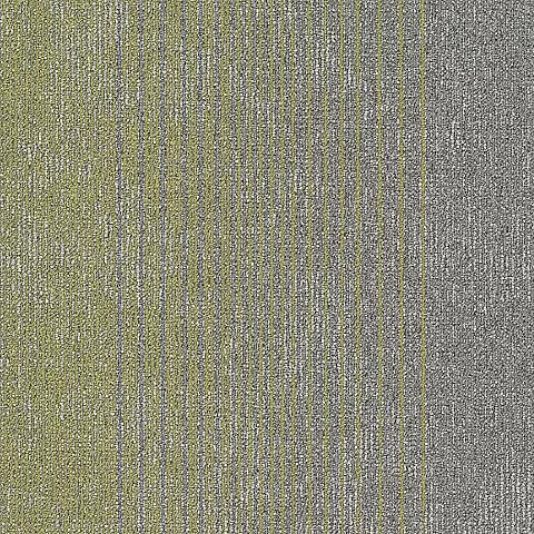 BLOQ Legend 609
   
  
      Basil Platinum