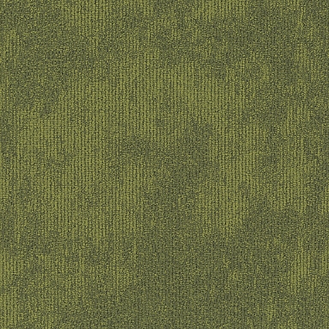 BLOQ Binary 613
   
  
      Matcha