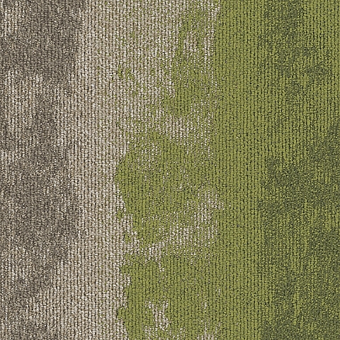 BLOQ Binary 730
   
  
      Grass pine