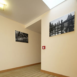 Zámek Loučeň, axminster Wilton Carpets